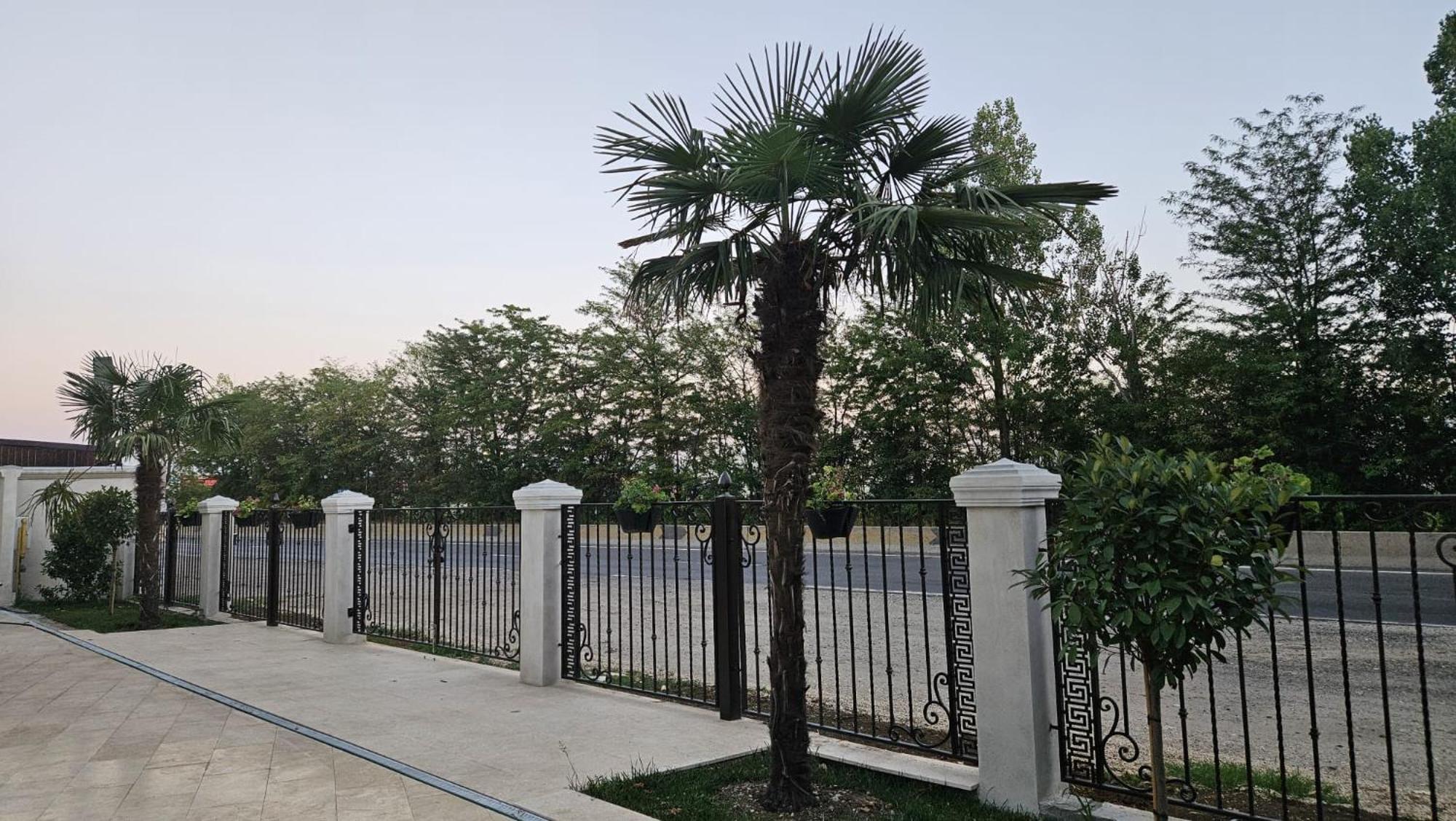 Mihai Palace Buftea エクステリア 写真